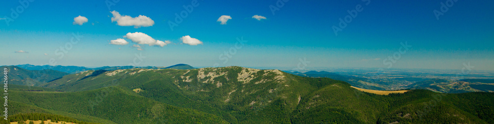 Panorama of Carpathian mountains in summer sunny day ,Travel at Ukraine. Beauty of nature concept.