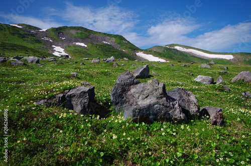 立山室堂の草原と岩