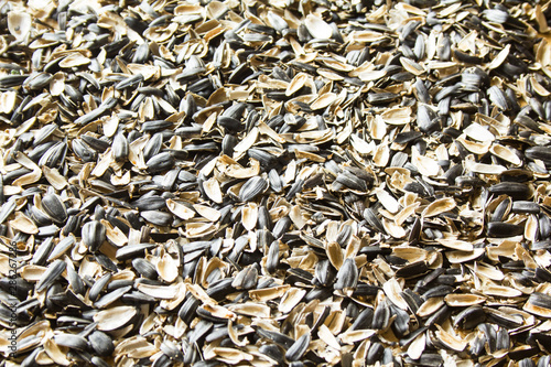 Peels from sunflower seeds texture background. #286267286