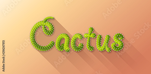 Cactus word on pastel orange color dessert