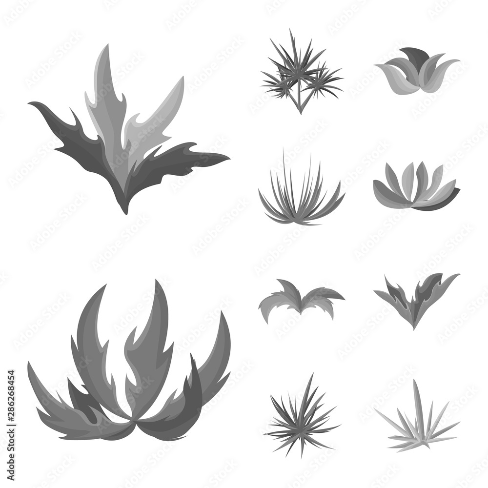 Isolated object of foliage and floral sign. Collection of foliage and summer stock symbol for web.