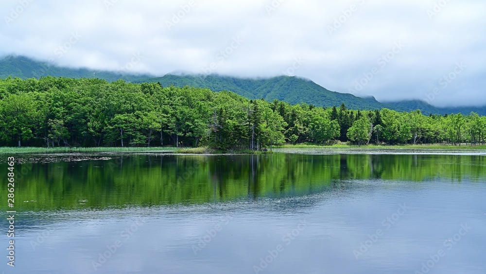 遊歩道から見た知床五湖の情景＠北海道