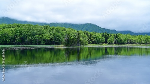 Fototapeta Naklejka Na Ścianę i Meble -  遊歩道から見た知床五湖の情景＠北海道