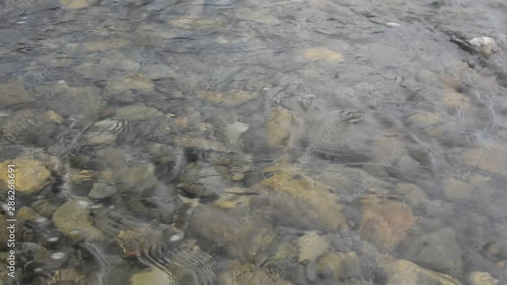 Video of flowing water. Clean water of the Northern river. Video of flowing water. Clean water of the Northern river.