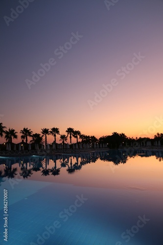 Tropical seashore with palms in the night with moonlight and clear sky.Antalya /Turkey