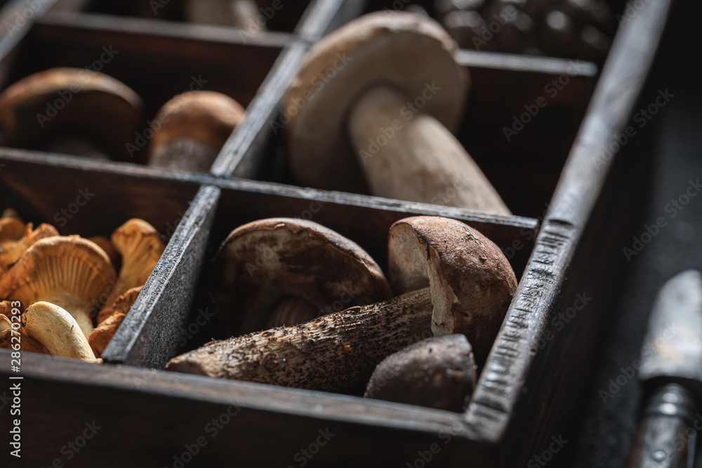 Healthy wild mushrooms in old wooden box - obrazy, fototapety, plakaty 