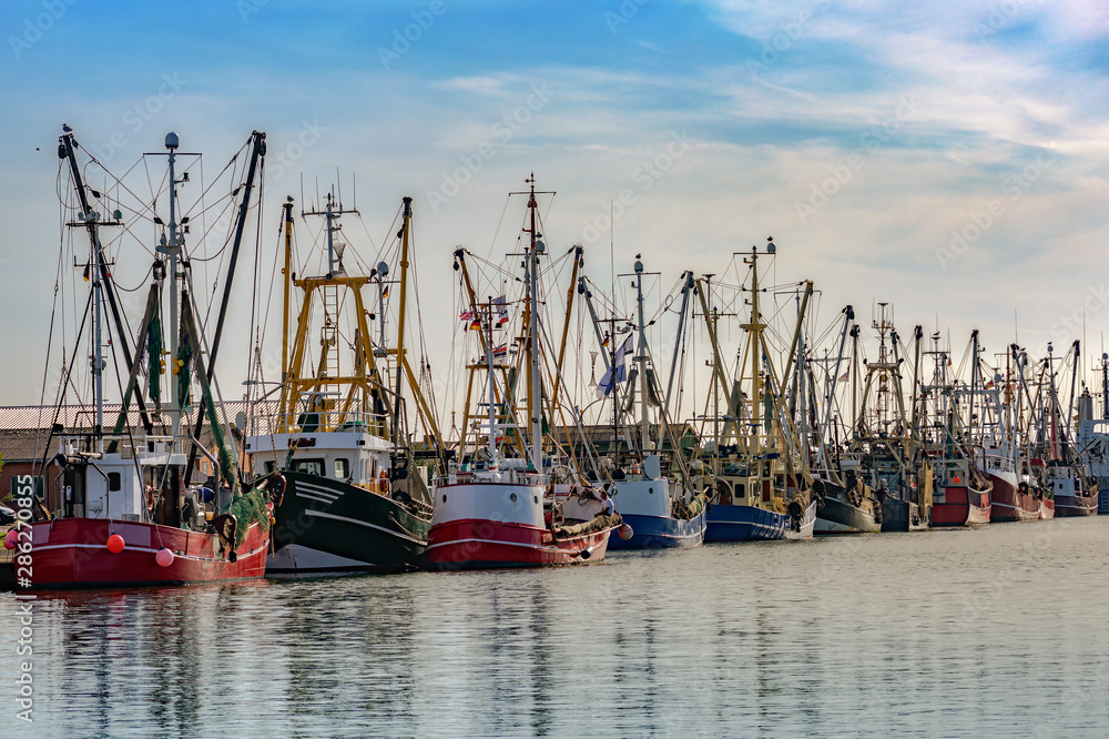 Fishing boats in the harbor of Buesum on the North Sea in Germany against the blue sky, copy space