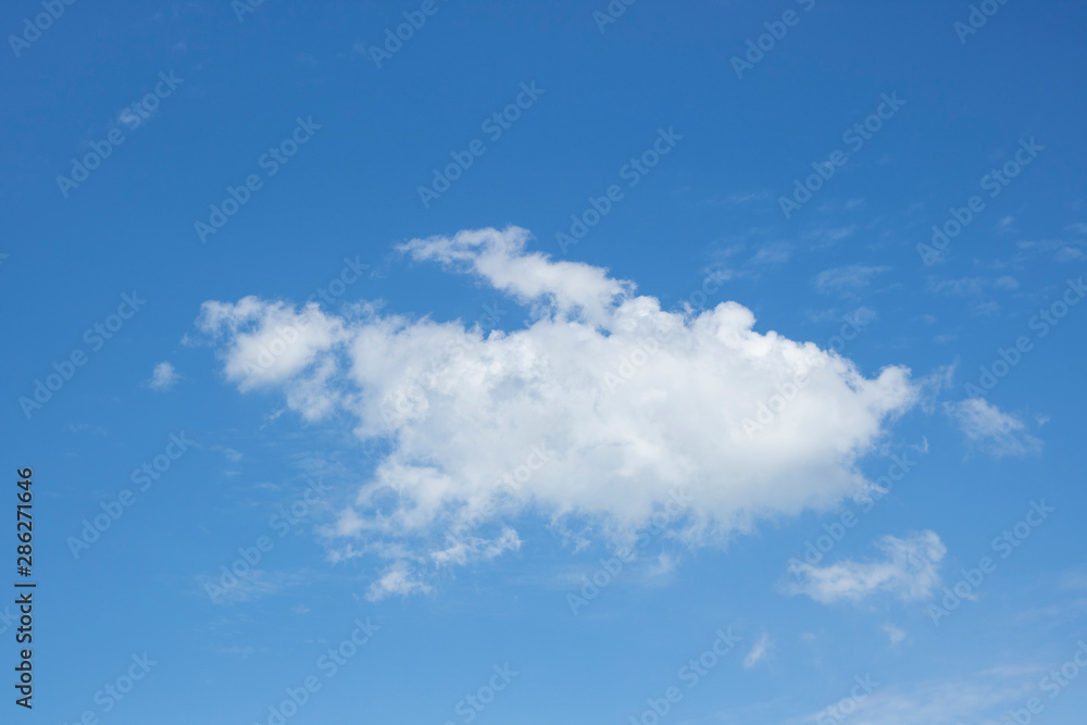 Fototapeta premium one cloud in blue sky