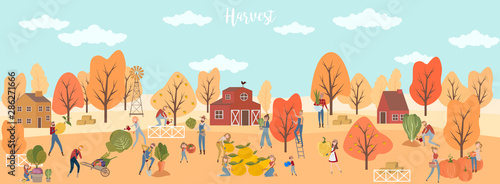 Men and women farmers harvest fruits and vegetables in the autumn landscape. Editable vector illustration