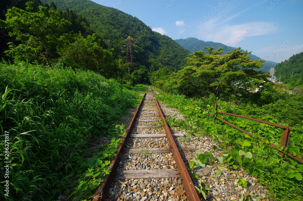 Obraz premium 山奥の廃線のレール