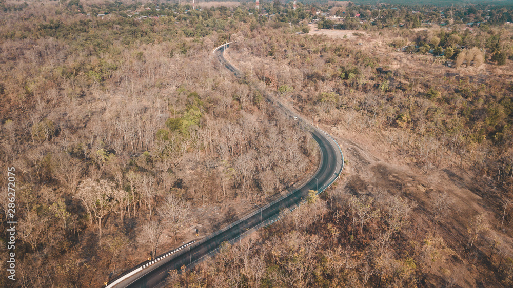 Aerial view curve road and the forest natural
