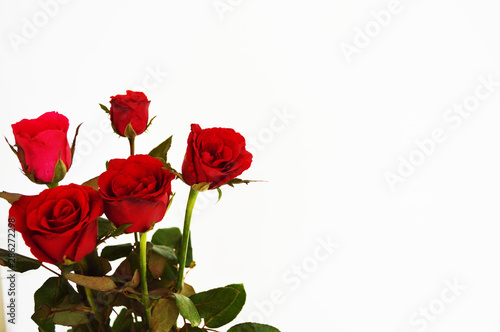 Red rose means love pink rose means lovely on white background