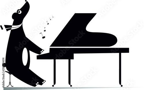 Funny bear a pianist isolated illustration.  Cartoon bear is playing music on piano and singing black on white illustration 