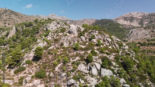 A pine forest in Guadalest Valley, in Alicante mountains, Spain photo