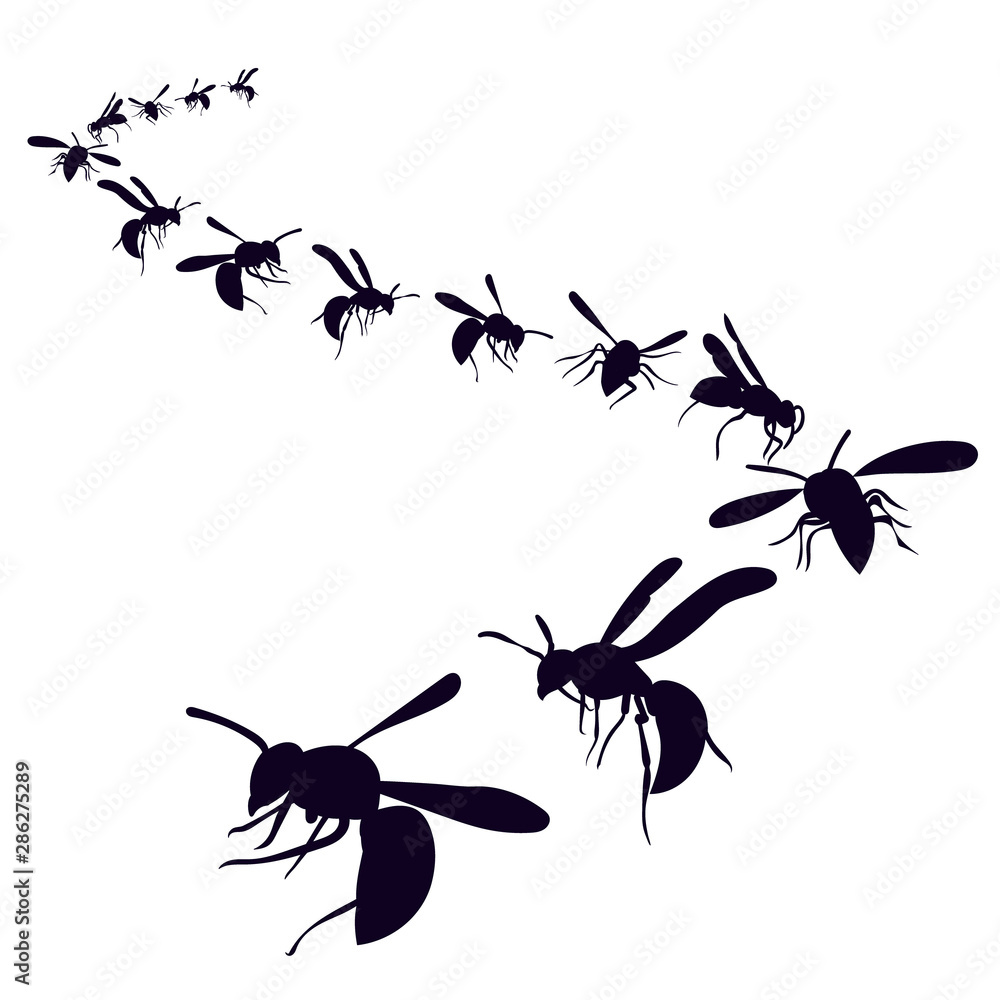 vector, isolated, silhouette of a flying wasp, bees vector, isolated, silhouette of a flying wasp, bees