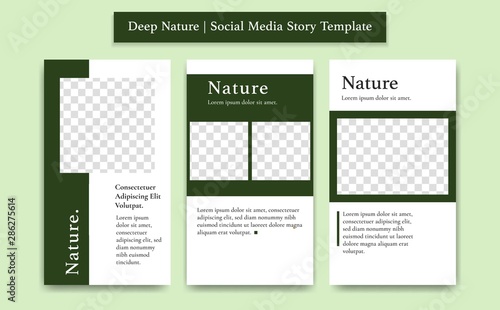 Dark green jungle color social media story template vector with photo frame simple elegant minimalist style