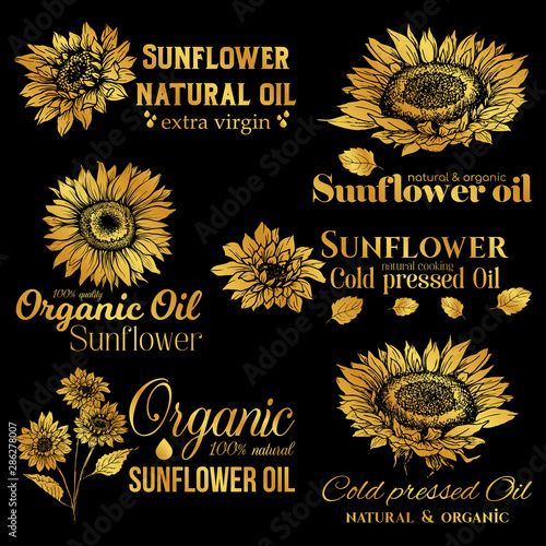 Golden Sunflower Oil Logos Set, Technology Wildflower Logo Templates for Brabding Identty. Gold Vector Isolated Flowers Hand Drawings with Lettering