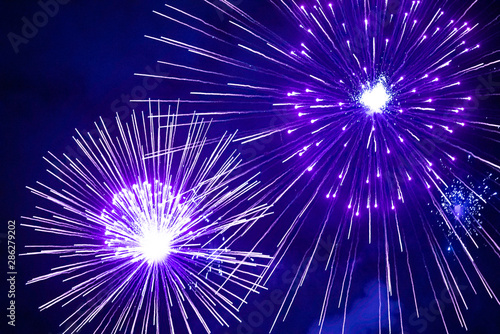 Violet firework in the night sky. Purple fireworks