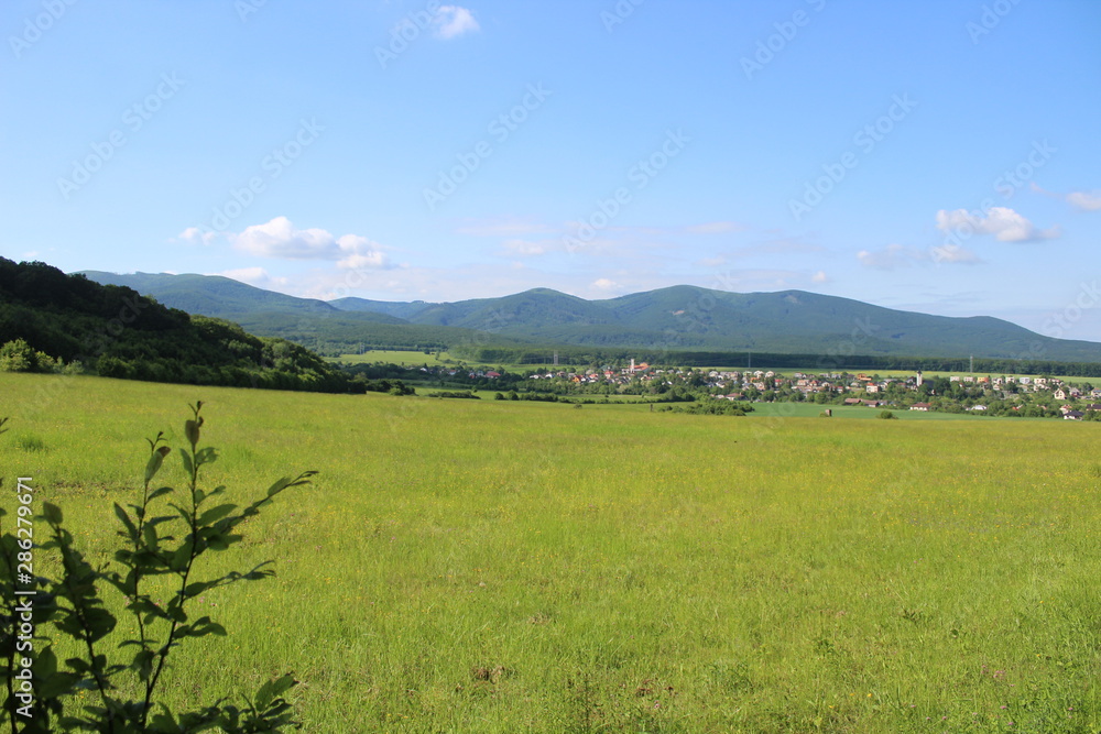 Fototapeta premium green field and blue sky