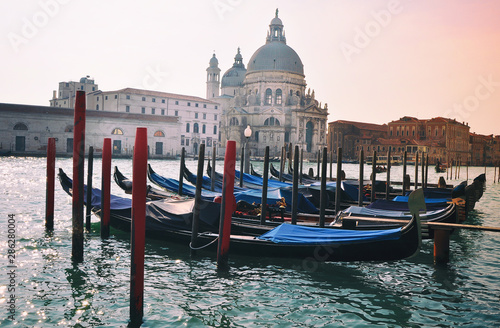 Santa Maria della salute church and gondolas, Venice Italy