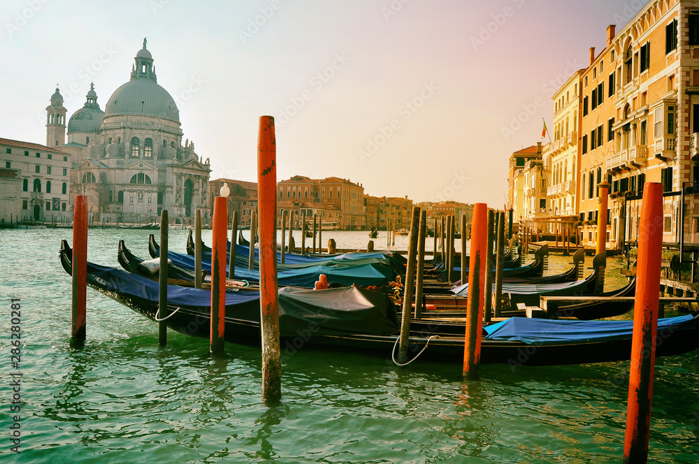 Santa Maria della salute church and gondolas, Venice Italy