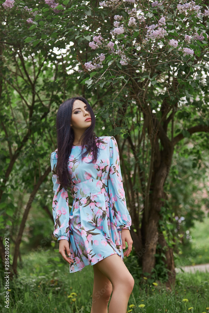 Brunette woman in the branches of a beautiful flowering tree. Short summer dress on the girl body. Spring walk in the Park, romantic mood. Portrait of a girl near bushes and trees Brunette woman in the branches of a beautiful flowering tree. Short summer dress on the girl body. Spring walk in the Park, romantic mood. Portrait of a girl near bushes and trees