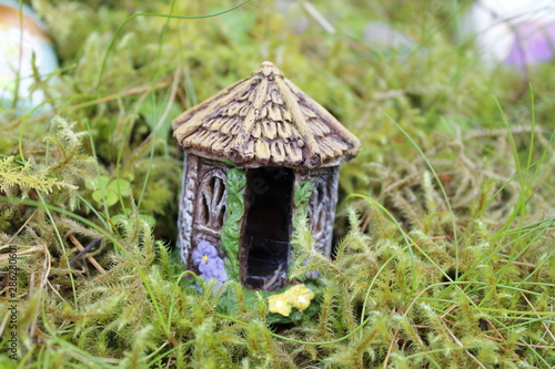 birdhouse on a tree
