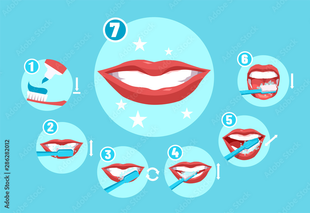Vector infographic of how to brush your teeth instruction. Vector infographic of how to brush your teeth instruction.