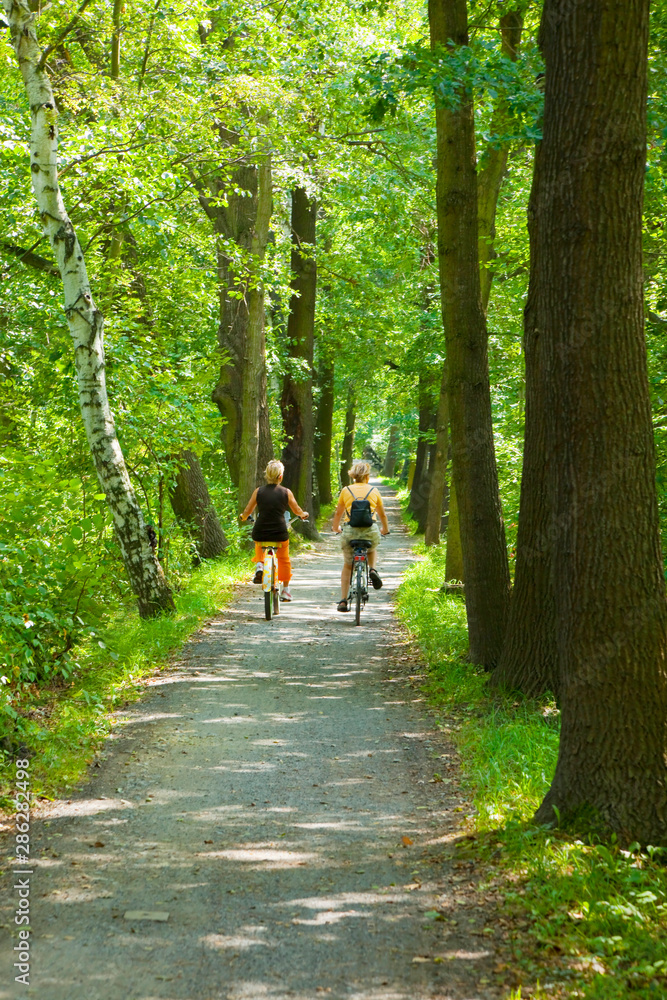By bike through the famous “Spreewald“, Germany. By bike through the famous “Spreewald“, Germany.