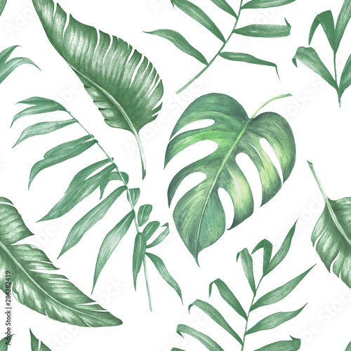 Watercolor tropical collecton. Palm, banana and monstera leaves with tropical flowers.