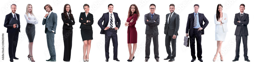 group of successful business people isolated on white group of successful business people isolated on white