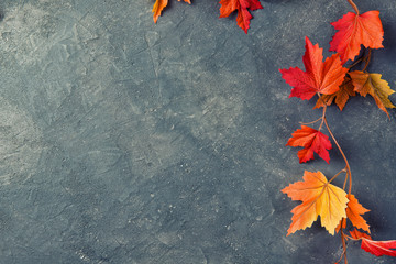 Autumn leaves over gray stone background, copy space, top view