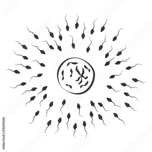 Sperm set. Spermatozoids runs towards the egg, live competition concept icon