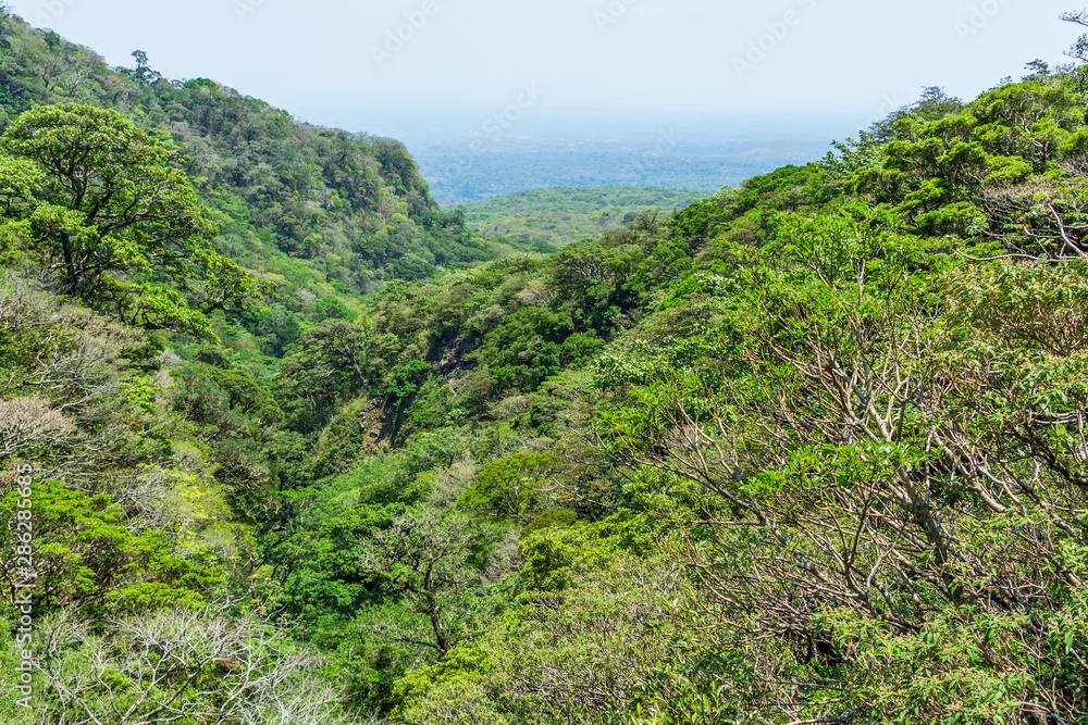 Rainforest in a valley on the side of Rincón de la Vieja Volcano, Guanacaste Province, Costa Rica, Costa Rica Rainforest in a valley on the side of Rincón de la Vieja Volcano, Guanacaste Province, Costa Rica, Costa Rica