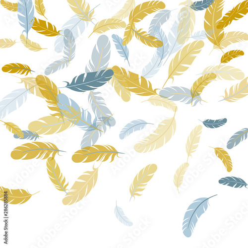 Falling feather elements soft vector design.