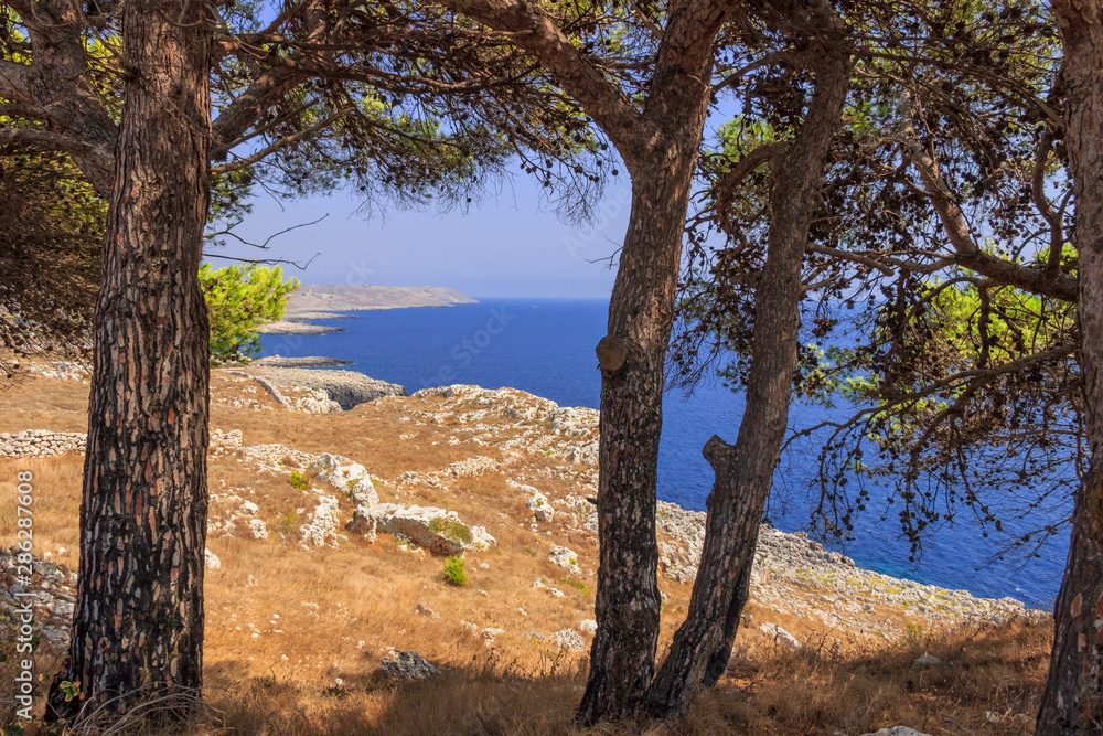 The most beautiful coasts of Italy:Salento seascape (Apulia). The Otranto-Santa Maria di Leuca Coast and Tricase Woods regional nature park. The most beautiful coasts of Italy:Salento seascape (Apulia). The Otranto-Santa Maria di Leuca Coast and Tricase Woods regional nature park.