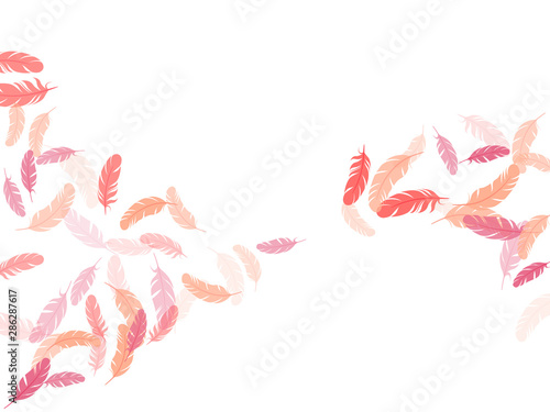 Falling feather elements soft vector design.
