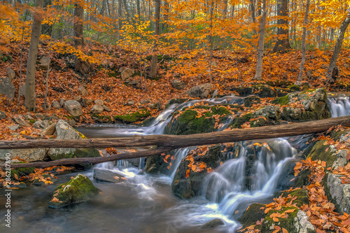 Harriman State Park