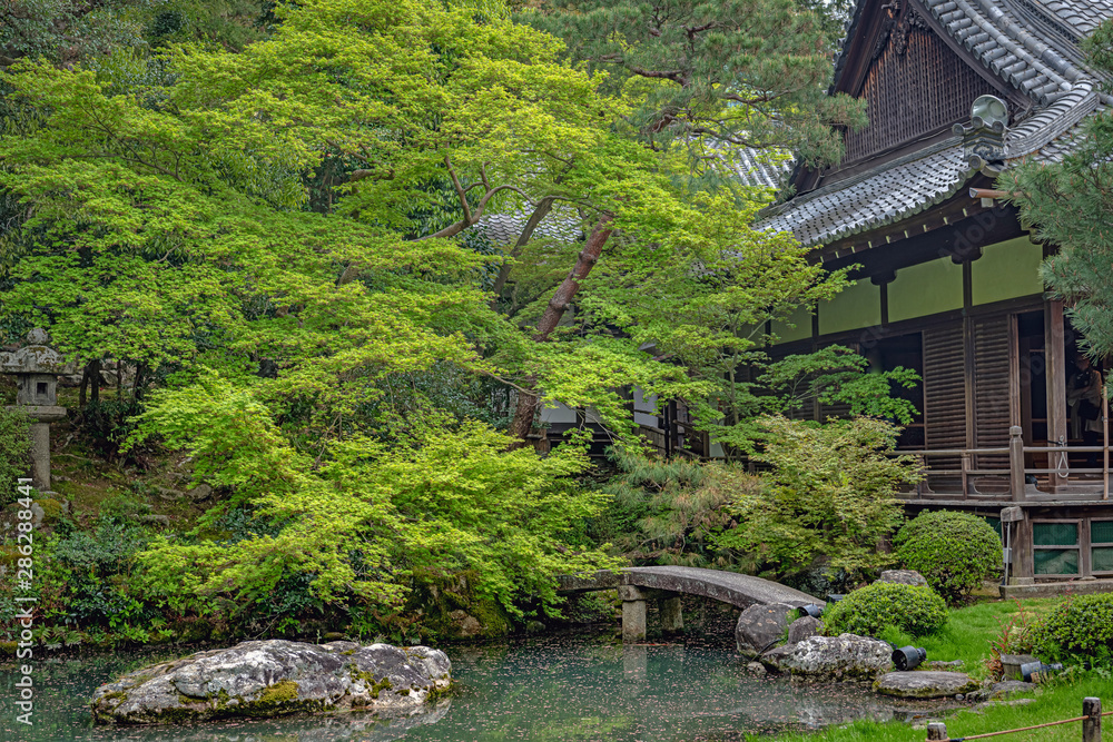 京都青蓮院龍心池stock Photo Adobe Stock