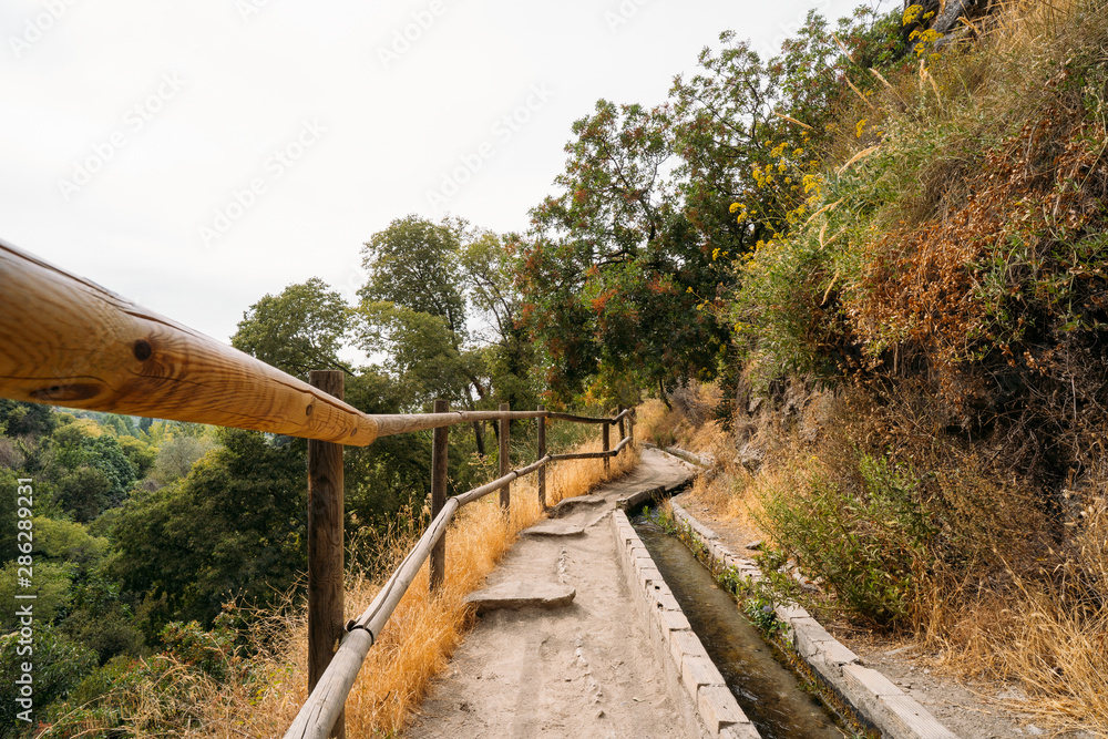 Beautiful summer forest mountain path at sunset Beautiful summer forest mountain path at sunset