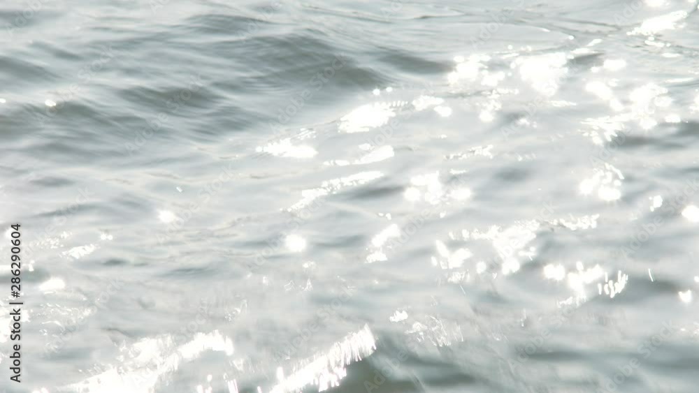 海 海