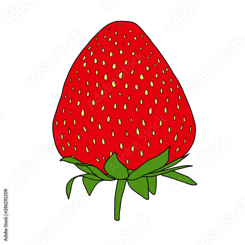 painted strawberry - color illustration on a white background isolated