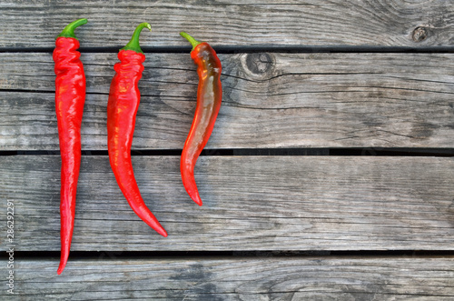 Three red hot chili peppers on an old wooden table as a background. Close-up, top view