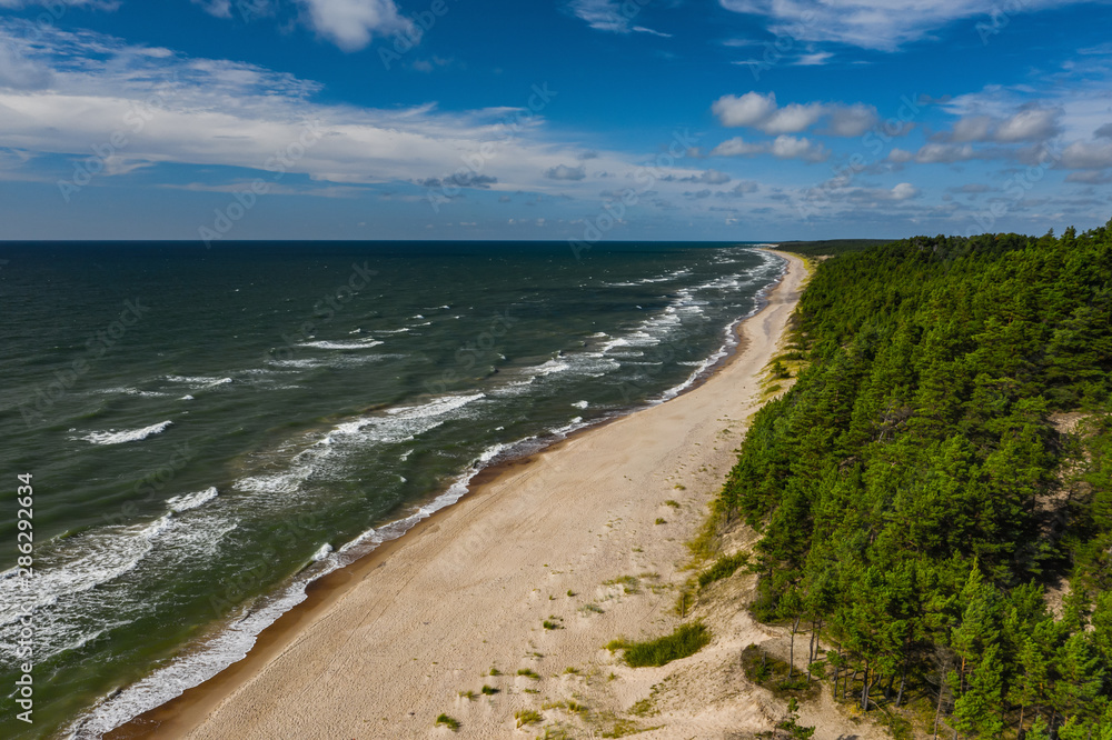 Top view of the seaside. Blue sky. Green forest.