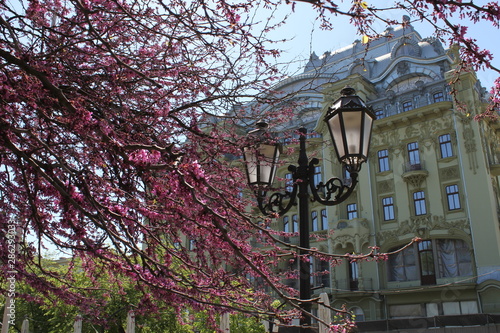 Fototapeta Naklejka Na Ścianę i Meble -  Old Odessa is a magnificent house, beautiful streets and small courtyards.