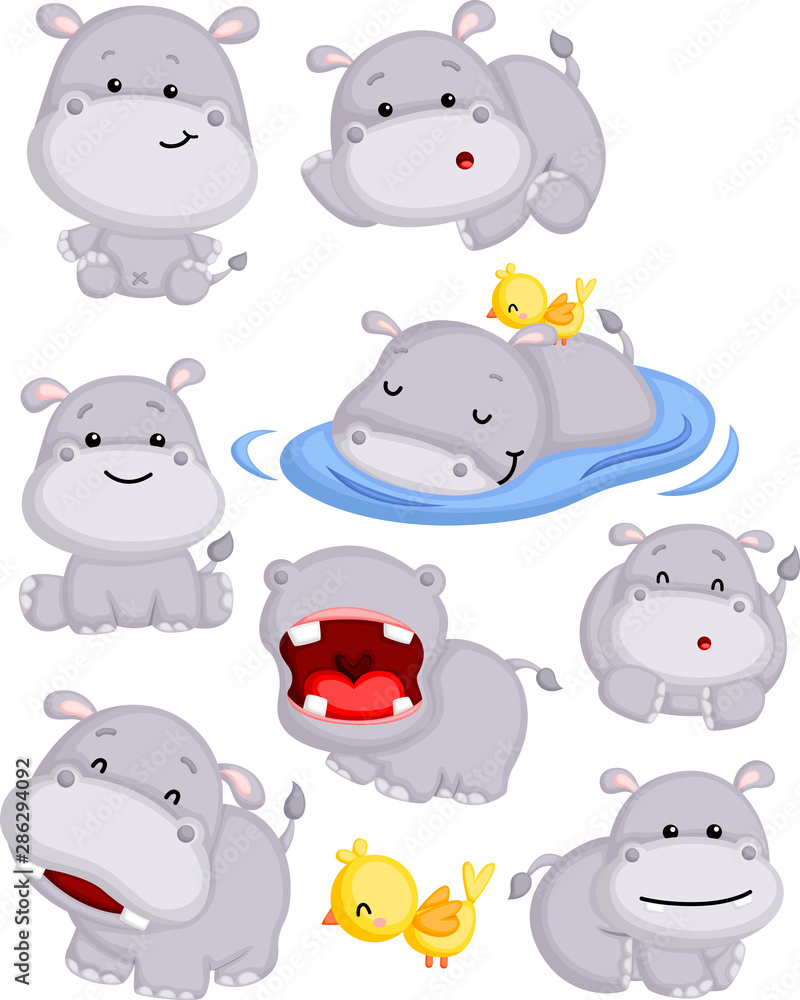 a vector of a cute hippo in many poses a vector of a cute hippo in many poses