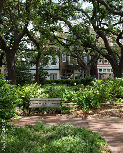 View of a park in the historic district, Savannah Georgia