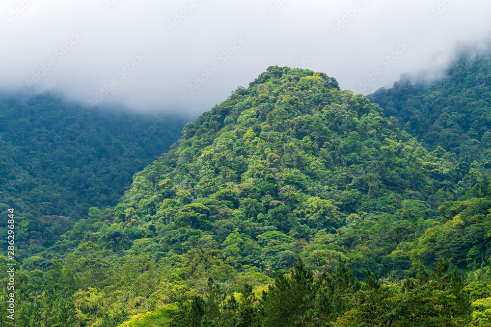 Fototapeta premium Rainforest covering a small hill in a valley near Arenal, Alajuela, Costa Rica