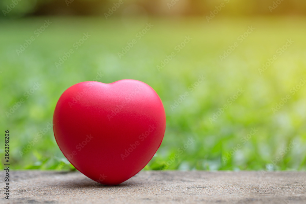 Red heart on the ground with a grass in the background.Valentines Day concept.World Heart Day.Nature reserve Red heart on the ground with a grass in the background.Valentines Day concept.World Heart Day.Nature reserve