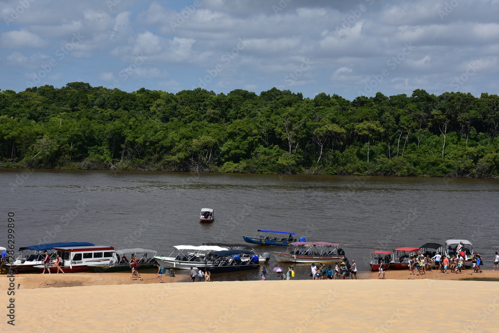 Obraz premium vassouras